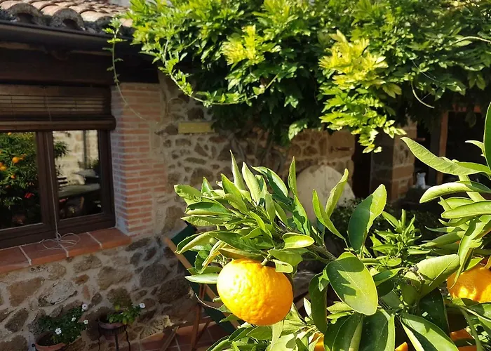 El Atalanto