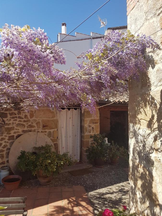 El Atalanto Madrigal de la Vera